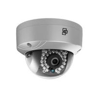 TruVision IP 2MP Dome Camera (TVD-M2225V-2-P)