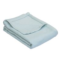 Home N Baby Rayhal Ultra Soft Blanket - Siege