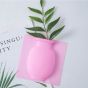 iShopping - The Emart Sticky Wall Vase Flower Pot