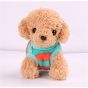 Eizy Buy Winter Vest For Small Dogs