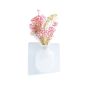 iShopping - The Emart Sticky Wall Vase Flower Pot