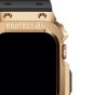 Amband Apple Watch Band & Case Venus Gold (AMT-2976)