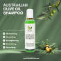 Herb Heaven Australian Olive Oil Shampoo