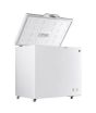 iShopping - PEL Arctic Pro Chest Freezer 10 Cu Ft (100APF)