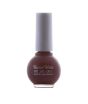 iShopping - Swiss Miss Get Set Go Nail Polish Terracotta (208)