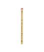 iShopping - Essence The Lion King Eyeshadow Brush