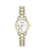 iShopping - Armitron Women's Watch Silver (75/5747MPTT)