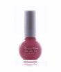 iShopping - Swiss Miss Get Set Go Nail Polish Maple Sugar (831)