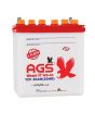 AGS Washi 20Ah 12V Battery (WS-45)