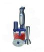 iShopping - Anex Hand Blender with Egg Beater (AG-130)