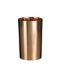 iShopping - Premier Home Bathroom Shine Tumbler (1601575)