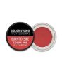 iShopping - Color Studio Burnt Desire Pot Lip & Cheek Tint