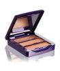 iShopping - Oriflame The One Concealer Kit Dark (32594)