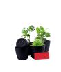 iShopping - Araaish Decorative Flower Pots  With Drainage Without Plants - Pack Of 5