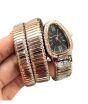 iShopping - Charming Closet Snake Style Chain Women Watch