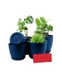 iShopping - Araaish Decorative Flower Pots  With Drainage Without Plants - Pack Of 5