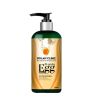 Chiltan Pure Bolan Clinic Protein Egg Shampoo - 250ml