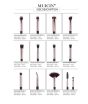 iShopping - Muicin Complete Vegan Eye Brushes 12 Pieces