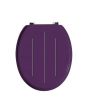 iShopping - Premier Home Toilet Seat - Purple (1604098)