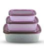 iShopping - Appolio Crisper Food Container Pack Of 3