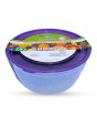 iShopping - Appollo Trend Food Container Large (Pack Of 3)