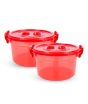 iShopping - Appollo Handy Mini Food Storage Container Large