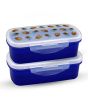 Appollo Bento Lunch Box M-2 (Pack Of 2)