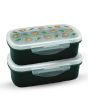 Appollo Bento Lunch Box M-1 (Pack Of 2)