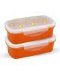 Appollo Bento Lunch Box M-1 (Pack Of 2)