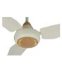 iShopping - Yashica Sparkle Ceiling Fan