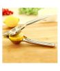 iShopping - Promax Stainless Steel Lemon Squeezer