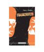 Frankenstein Book