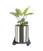 Eager Enterprise Movable Acrylic Planter Stand For Plant Pot