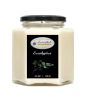 iShopping - Aromaflick Eucalyptus Soy Hexagonal Jar Candle