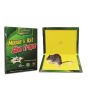 Ferozi Traders Reusable Mouse Trap Glue Sticky Board - Pack Of 3