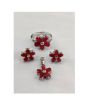 Gilgit Bazaar Ruby Stone Silver Set (20)