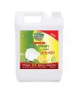 iShopping - Germi Cure Antibacterial Dish Wash Liquid - Lemon 5ltr