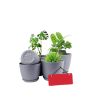 iShopping - Araaish Decorative Flower Pots  With Drainage Without Plants - Pack Of 5