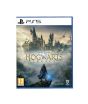 iShopping - Hogwarts Legacy DVD Game For PS5