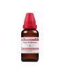 iShopping - Karachi Shop Thuja Occidentalis Mother Tincture Q