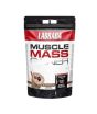 Labrada Muscle Mass Gainer - Vanilla 1kg