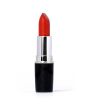 iShopping - Swiss Miss Lipstick (MATTE-522)