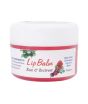 iShopping - Organic Bloom Rose & Beetroot Lip Balm 15g