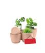 iShopping - Araaish Decorative Flower Pots  With Drainage Without Plants - Pack Of 5