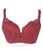 iShopping - Purple Bag Double Padded Lace Wired less Pushup Bra Maroon (0061)