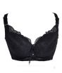 iShopping - Purple Bag Fancy Lace Light Padded Wireless Bra Black (0041)