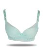 iShopping - Purple Bag Lace Net Soft Padded Under Wired Bra Feroozi (OFW0037)