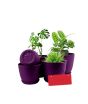 iShopping - Araaish Decorative Flower Pots  With Drainage Without Plants - Pack Of 5