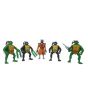 Planet X Teenage Mutant Ninja Turtles TMNT 5 Action Figures Set (PX-10819)