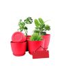 iShopping - Araaish Decorative Flower Pots  With Drainage Without Plants - Pack Of 5